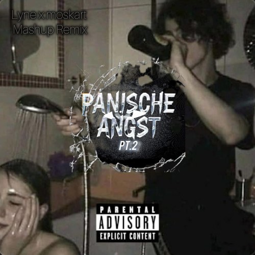 PA2 x Hass/Liebe (Mashup Remix) [Explicit]