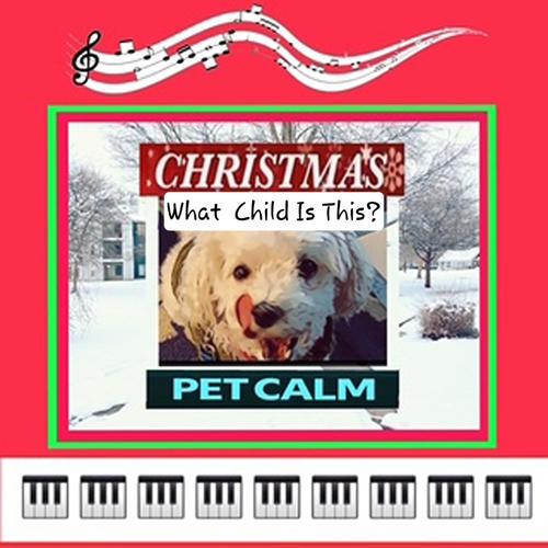 WHAT CHILD IS THIS? (Pet Christmas) (feat. BREAKTHROUGH MUSIC TODAY)