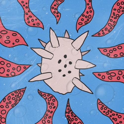 PUSSY RAPPERS (Explicit)