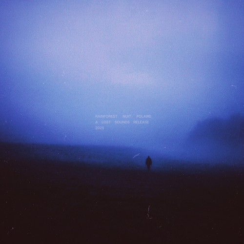 rainforest (slowed + reverb)