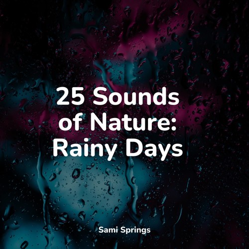 25 Sounds of Nature: Rainy Days