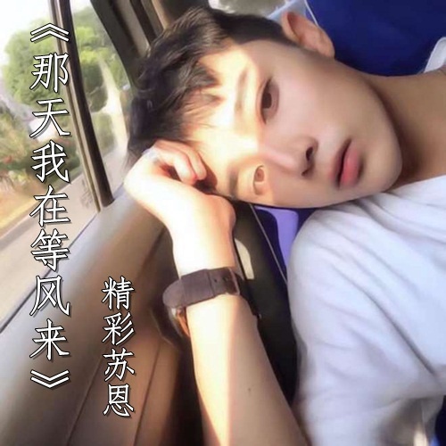 那天我在等风来