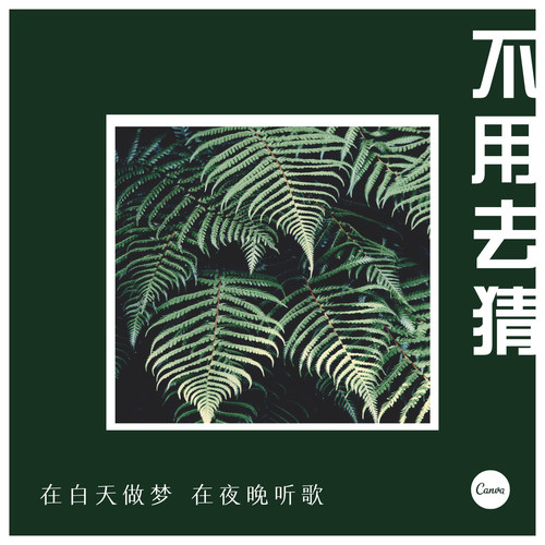 不用去猜（dj）