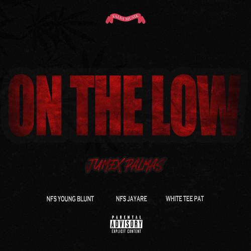 On the Low (feat. NFS Young Blunt, NFS JayAre & White Tee Pat) [Explicit]