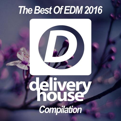The Best Of EDM 2016