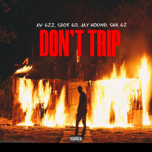 Don't Trip (feat. Sdot Go, Jay Hound & Sha Gz) [Explicit]