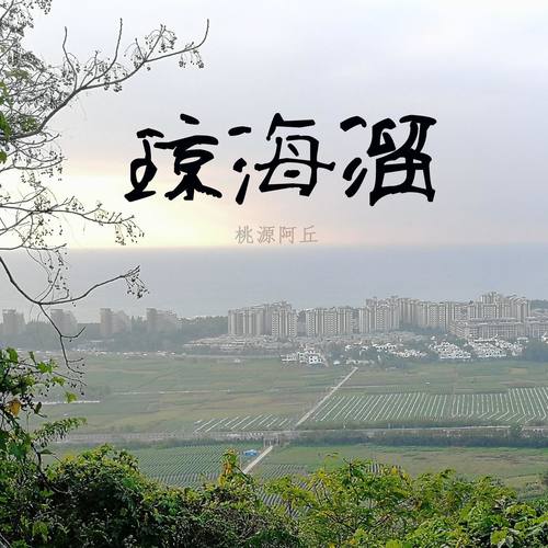 海南话海南（第二辑）