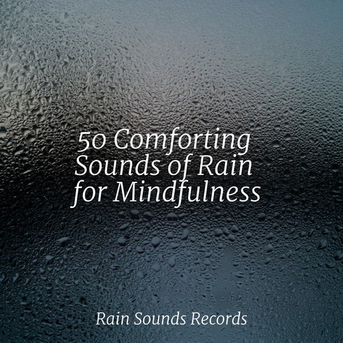 50 Comforting Sounds of Rain for Mindfulness