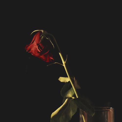 Cosa rimane (feat. Tenshi)