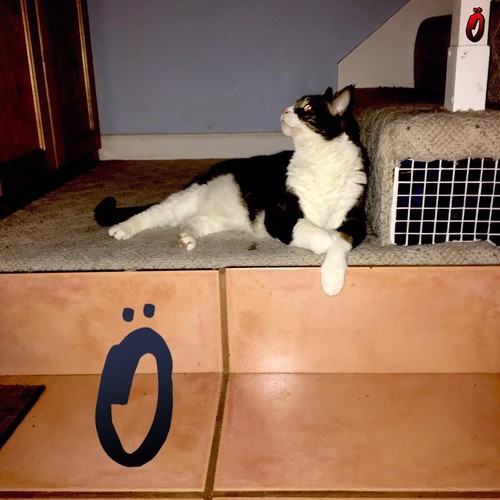 Inner Resting Composition