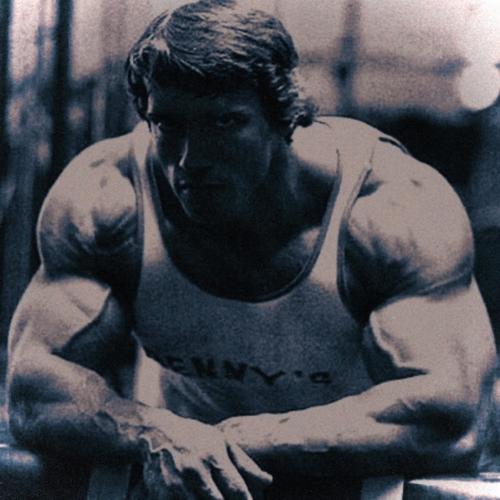The Gym Will Change You (Arnold Schwarzenegger) (feat. Andreas Mark-Skousgaard)