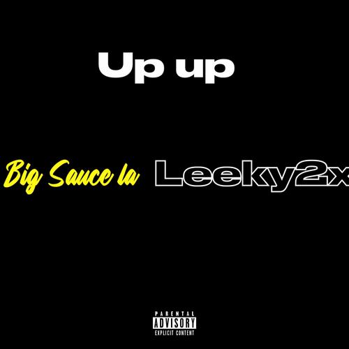 Up up (feat. Leeky2x) [Explicit]
