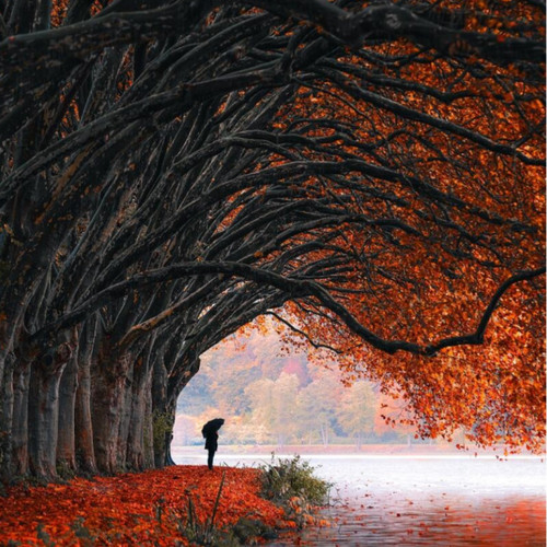 Running Up On Hill（治愈版）