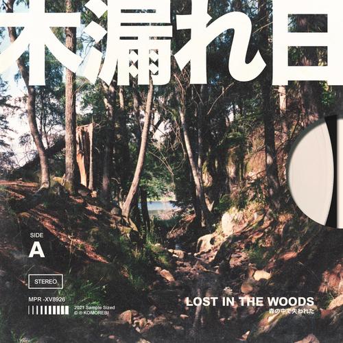 Lost In The Woods