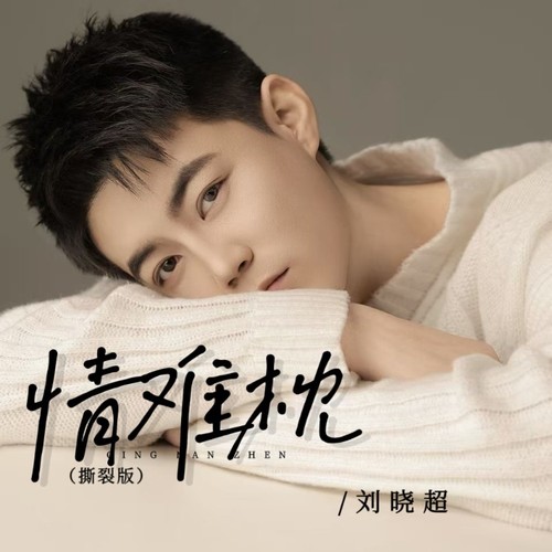 情难枕（撕裂版）