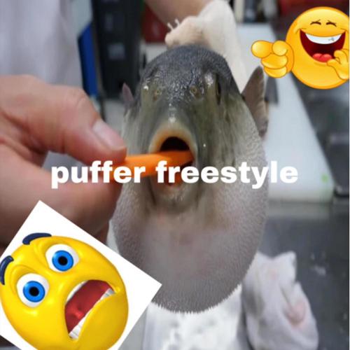 puffer freestyle
