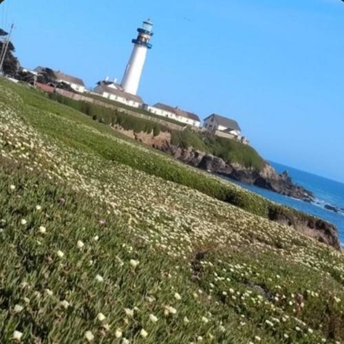 I don't want you back (feat. Fony Wallace) [Explicit]