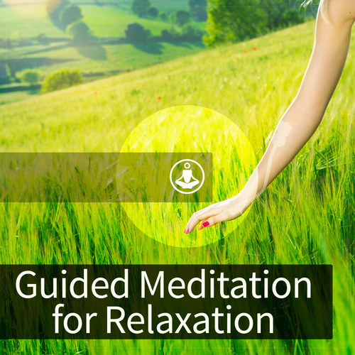 Guided Meditation for Relaxation