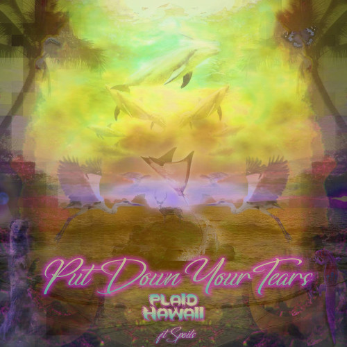 Put Down Your Tears (feat. SPOILS)