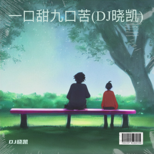 一口甜九口苦(DJ晓凯)