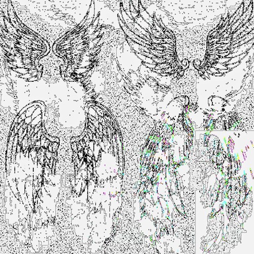 You Dropped a Feather (Explicit)