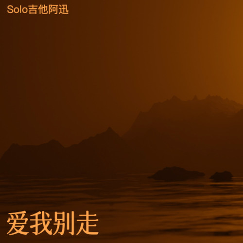 爱我别走（电吉他Solo版）