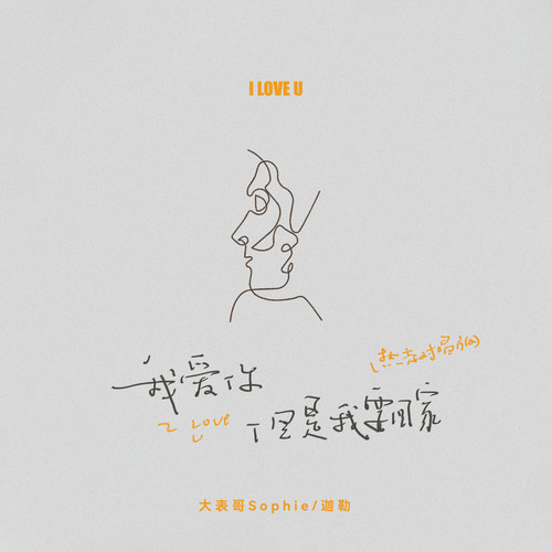 我爱你但是我要回家 (热恋对唱)
