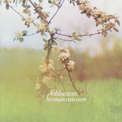 Bloesem