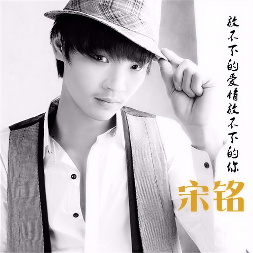 放不下的爱情放不的你