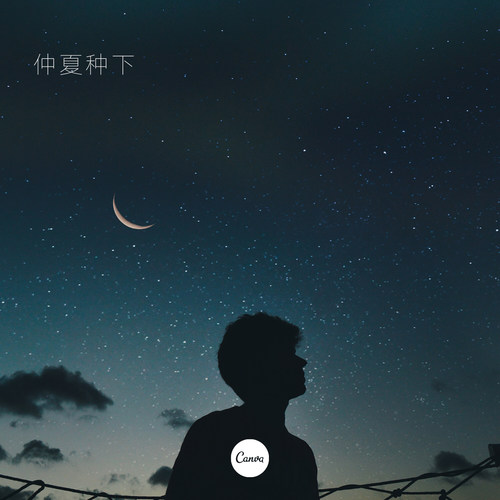 仲夏种下（DJ）