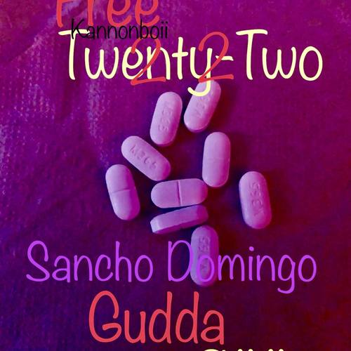 Free 22 (Gudda S**t)