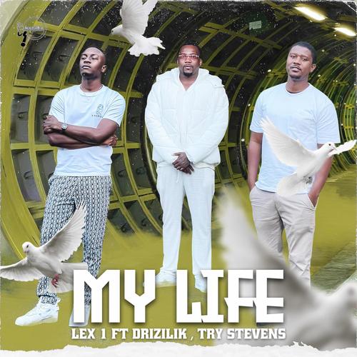 My Life (feat. Drizilik & Try Stevens)