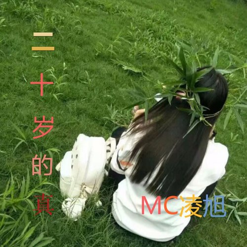 二十岁的真爱