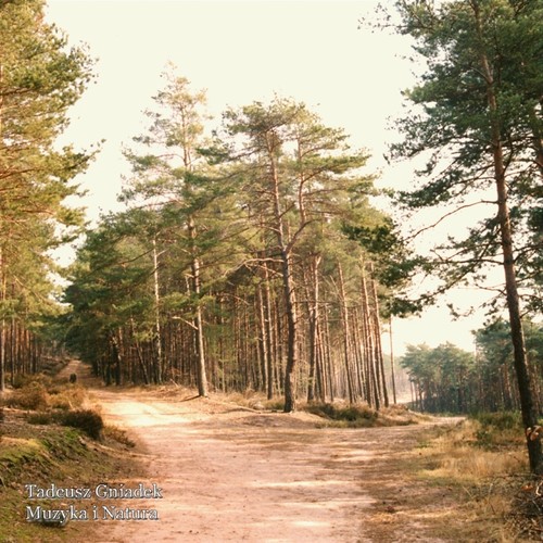 Muzyka i natura