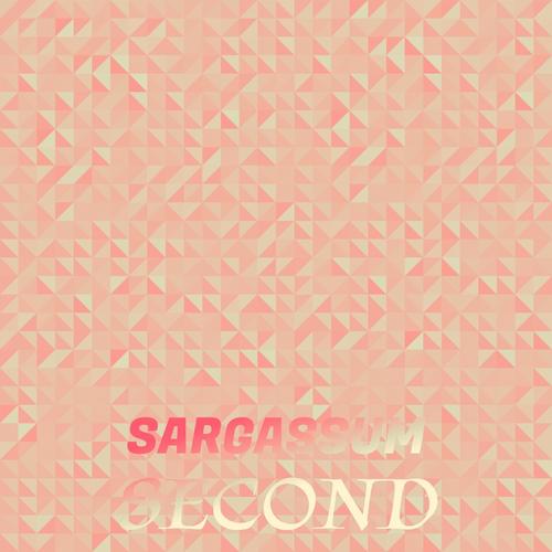 Sargassum Second