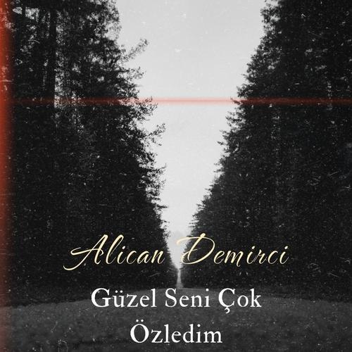 Güzel Seni Çok Özledim