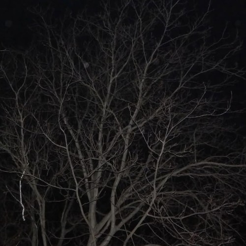 В недрах было темно (Explicit)