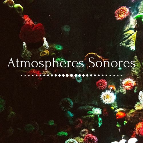 Atmosphères sonores: Musique douce avec bruits ambientales pour vous aider à mieux dormir et vous soulager du mal de tête