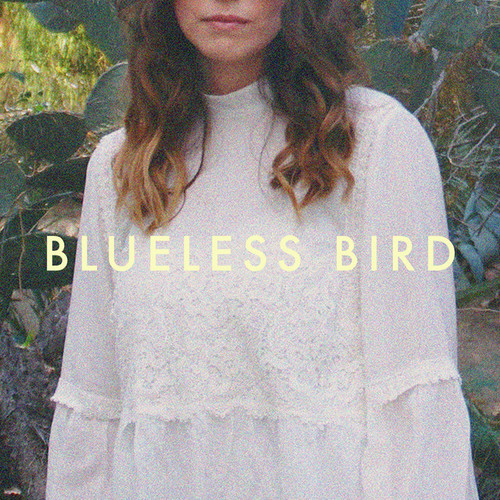 Blueless Bird