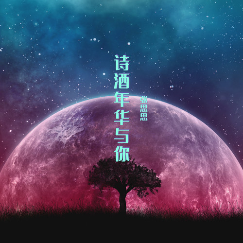 诗酒年华与你