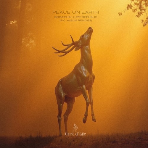 Peace on Earth (9DEEP Remix)
