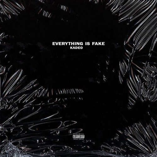 Everything Is Fake (Explicit)