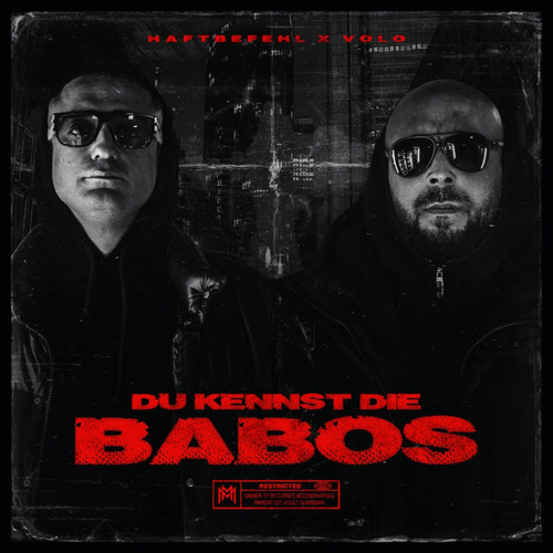 DU KENNST DIE BABOS (Explicit)