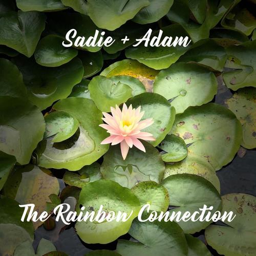 The Rainbow Connection