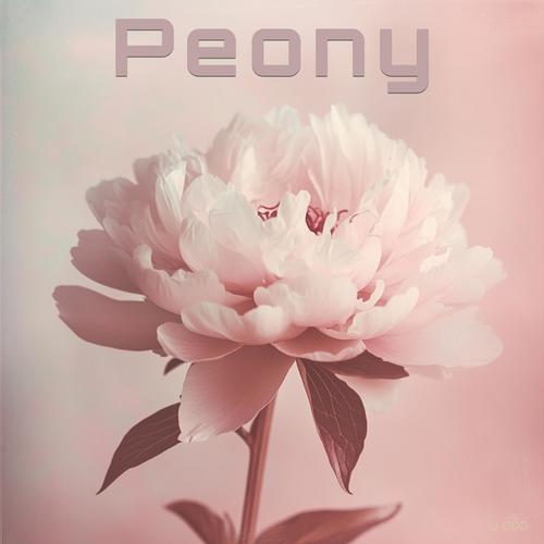 Peony
