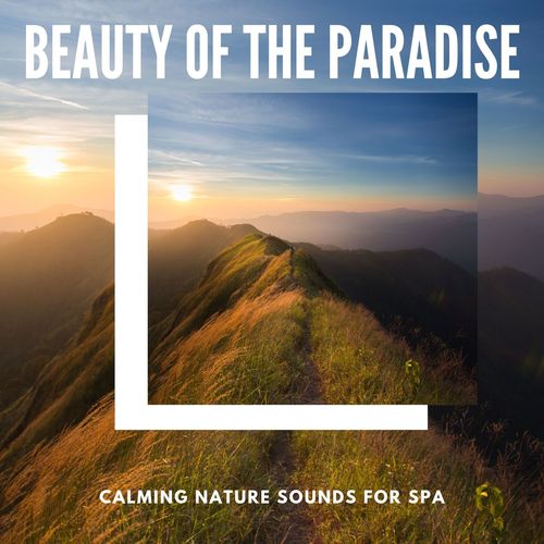 Beauty Of The Paradise - Calming Nature Sounds For Spa