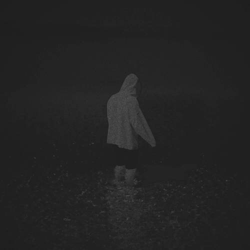 fallen