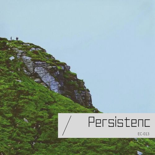 Persistence