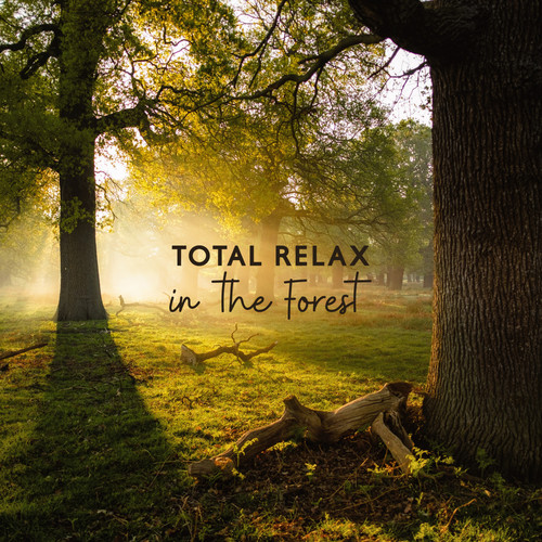 Total Relax in the Forest: Nature New Age Music Compilation for Relax, Soft Sounds of Forest, Songs for Rest, Calm Nerves, Vital Energy Regeneration