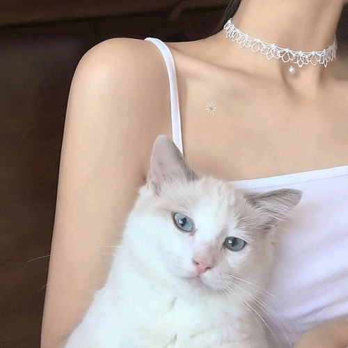 何为九天之云下垂